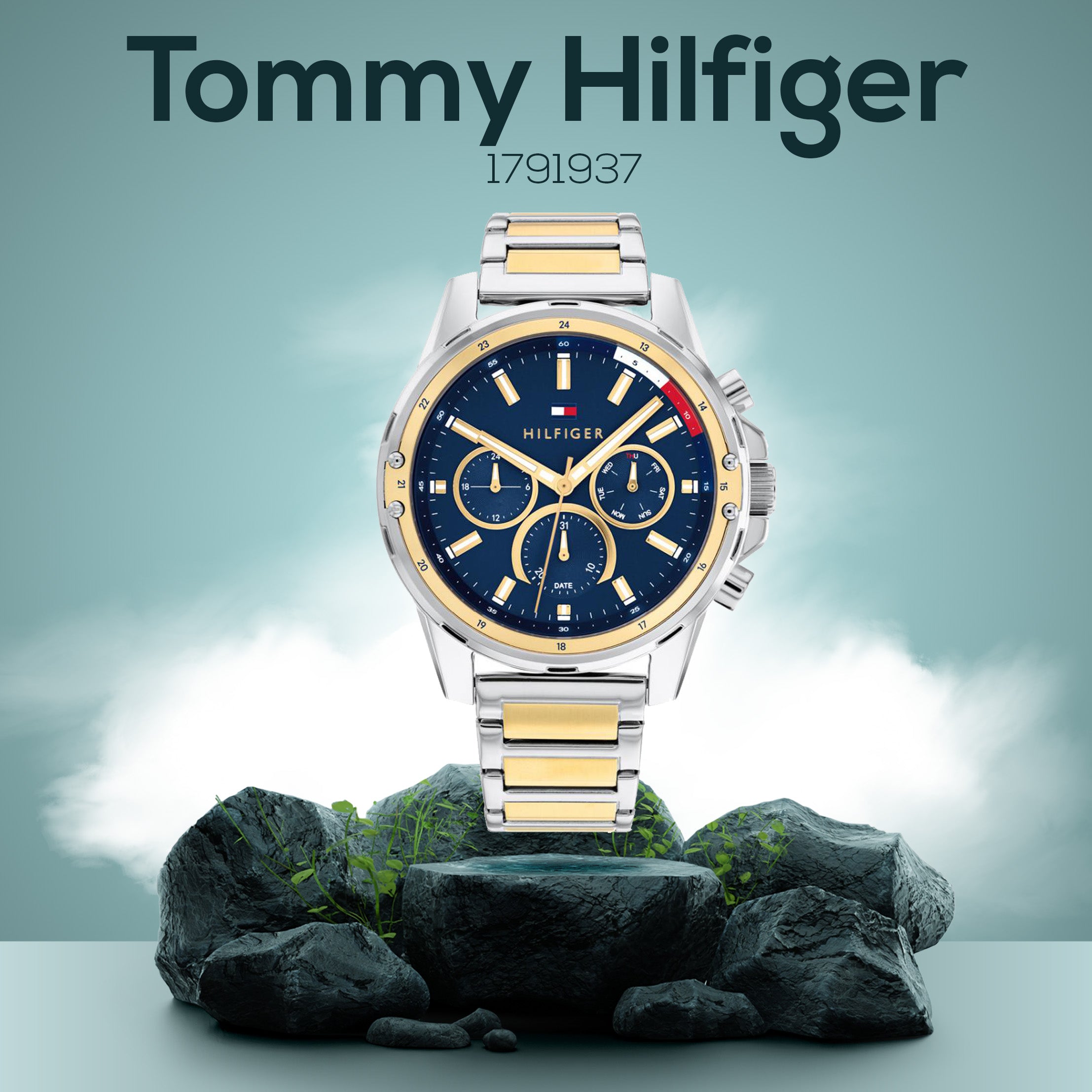 Montre Homme Tommy Hilfiger 1791937