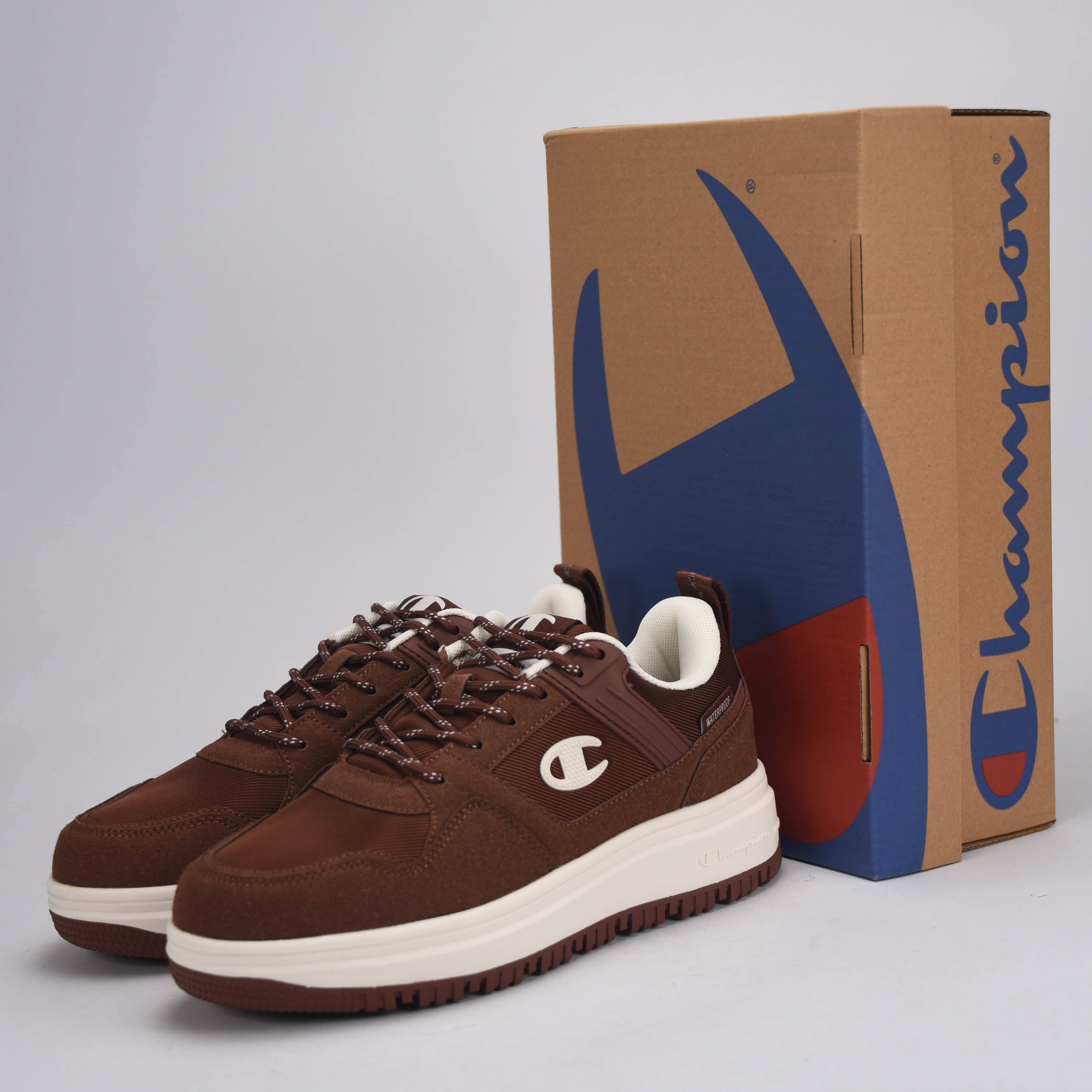 BASKET CHAMPION