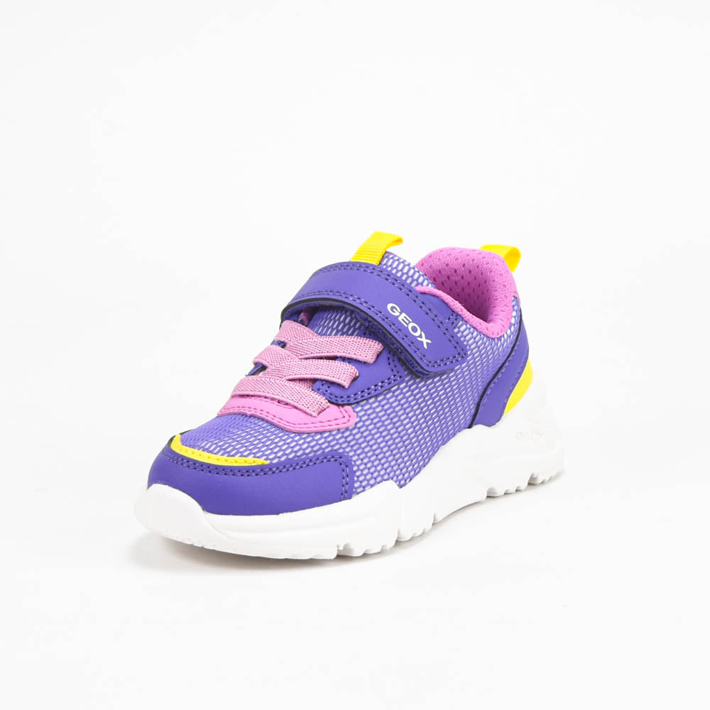 GEOX BASKET