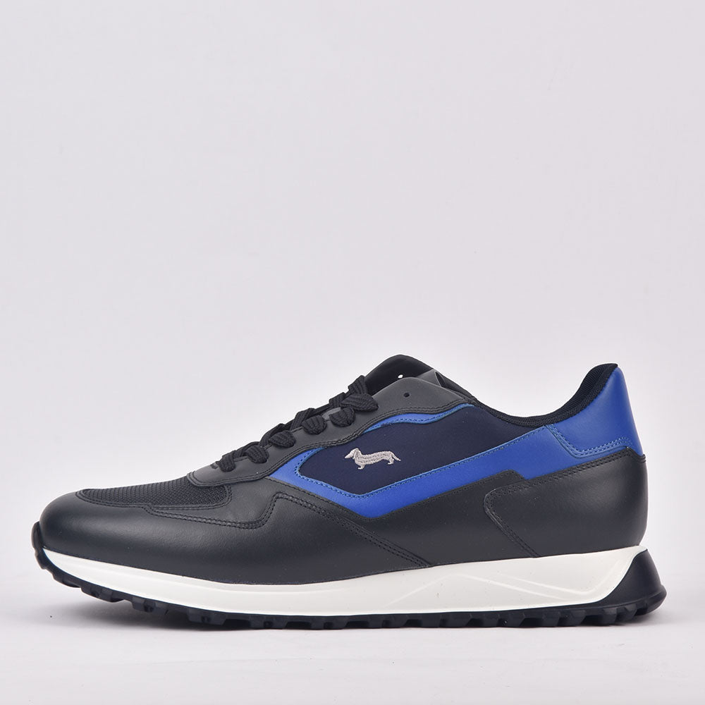 HARMONT AND BLAINE SCARPA UOMO BLU  ROYAL