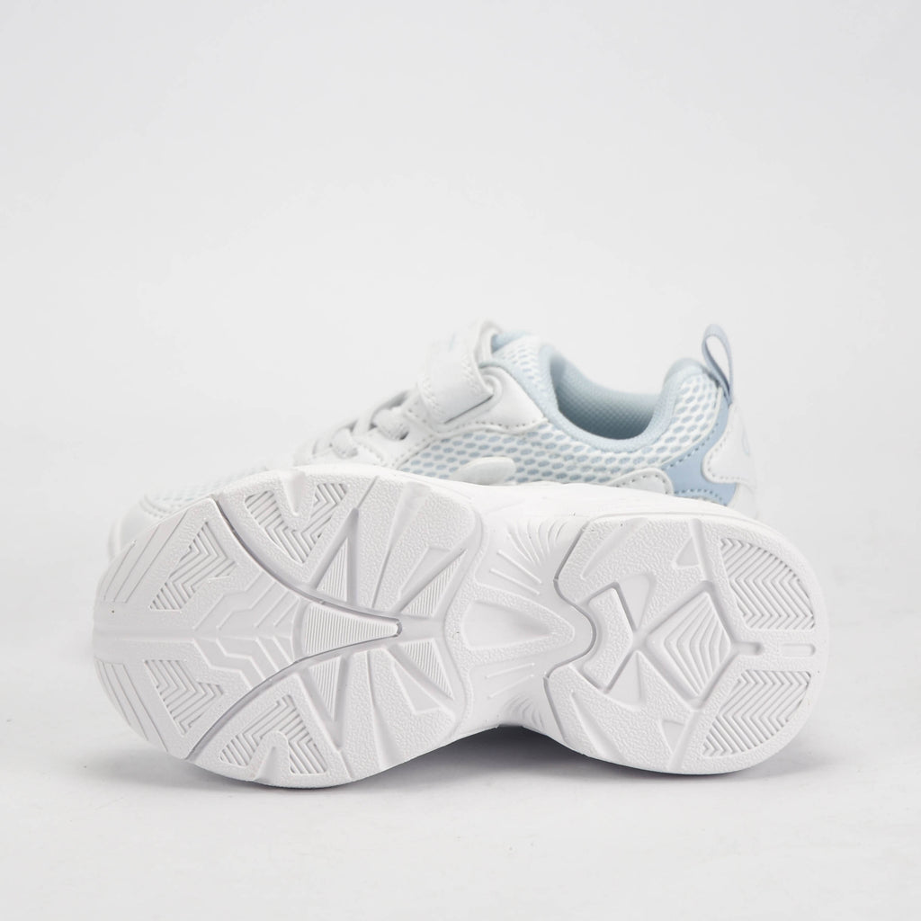 CHAMPION BASKET
