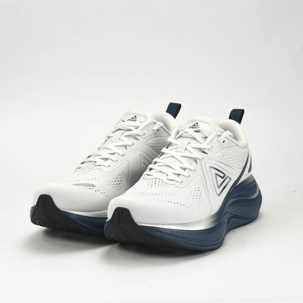 PEAK SPORTS SHOES